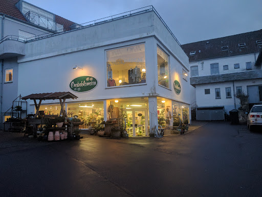 Ønskeblomsten