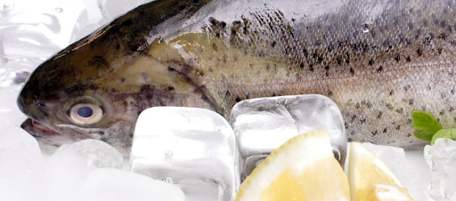 Albanigades Fisk Og Vildt A/S - Fisk og Vildt til engros og privat