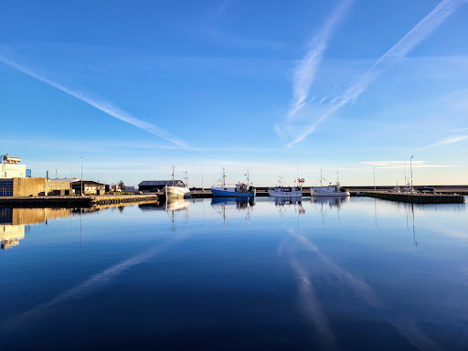 Nexø Havn Bornholm