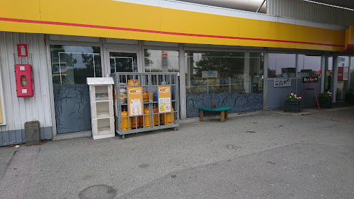 Shell Skagen